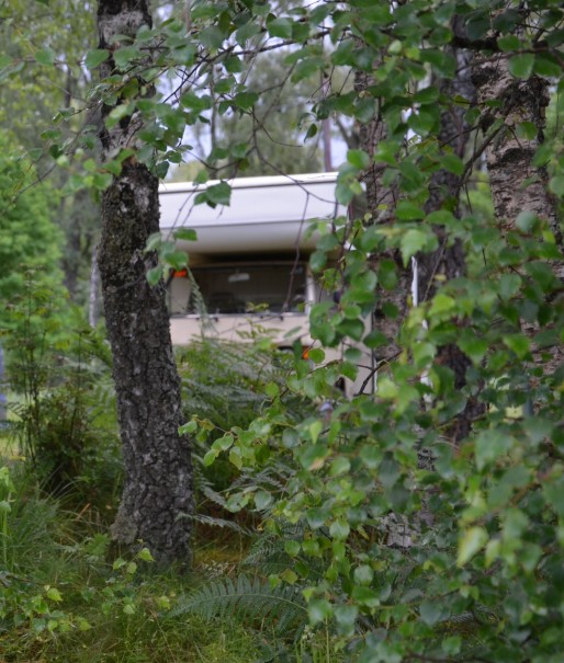 Und so idyllisch habe ich dann immer übernachtet ... Suchbild - wo ist der Campervan ©entdecker-greise.de