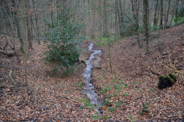 Wander- und Biking-Paradies Milchborntal im Bergischen Land ©entdecker-greise.de