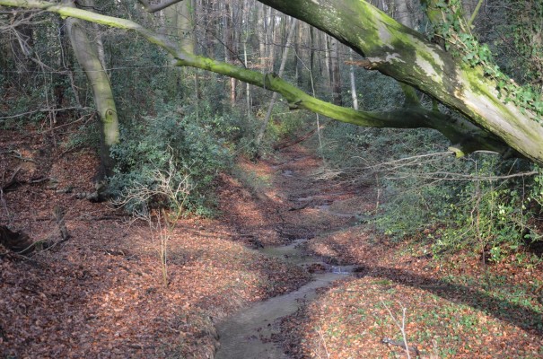 Was für eine herrliche Landschaft - Wandern rund um Bergisch Gladbach ©entdecker-greise.de