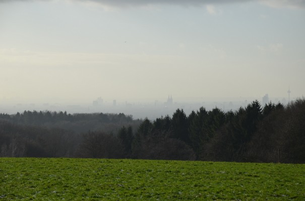Weitsicht über die Kölner Bucht ©entdecker-greise.de