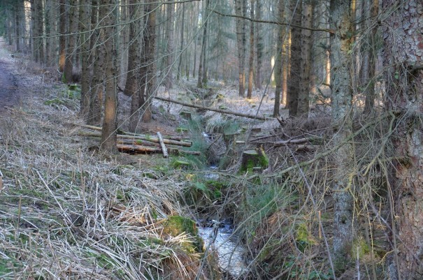 ... idyllischen Bachläufen ©entdecker-greise.de