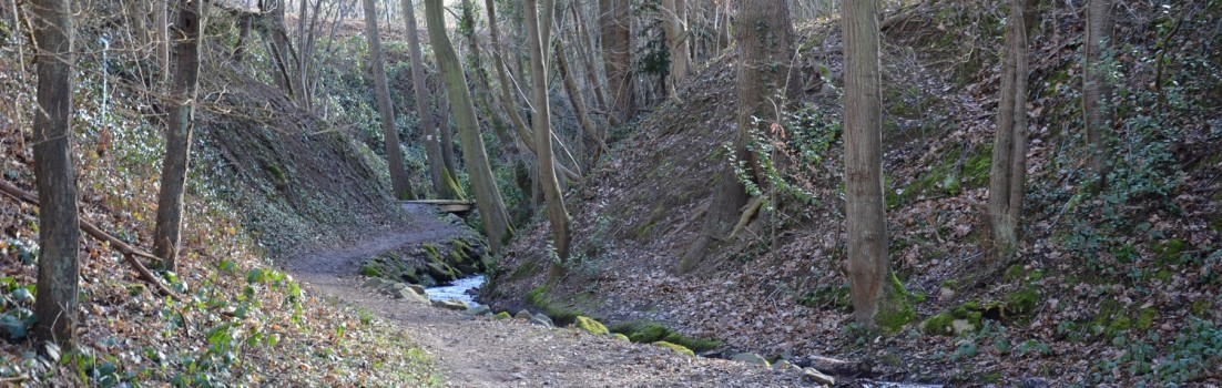 Abwechslungsreiche Streckenführung auf dem Ahrsteig ©entdecker-greise.de