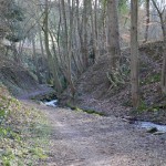 Abwechslungsreiche Streckenführung auf dem Ahrsteig ©entdecker-greise.de