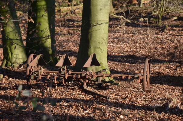 Am Bergischen Weg ©entdecker-greise.de