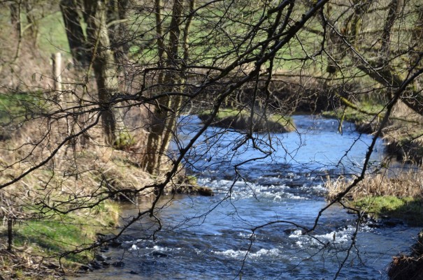 Das Naafbachtal ©entdecker-greise.de
