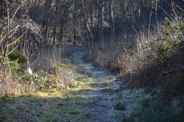Der Beginn der eigentlichen Etappe in Broich ©entdecker-greise.de