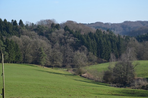 Der Bergische Weg bei Falkemich ©entdecker-greise.de