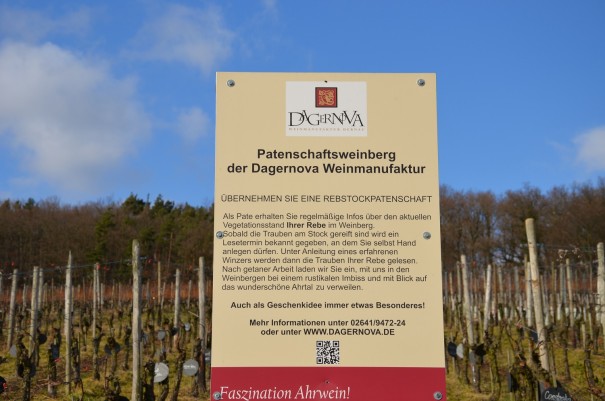 Der Patenschaftsweinberg ©entdecker-greise.de