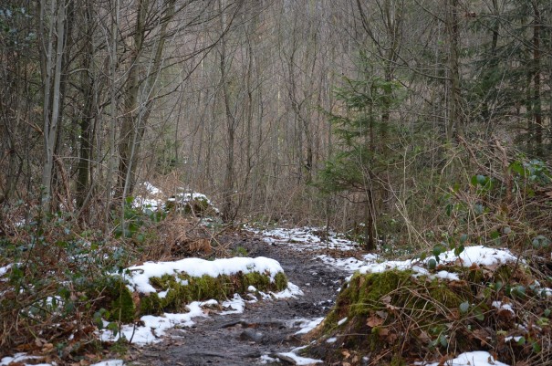 Der Winter hat die Landschaft noch im Griff, hier auf dem Bensberger Schlossweg ©entdecker-greise.de