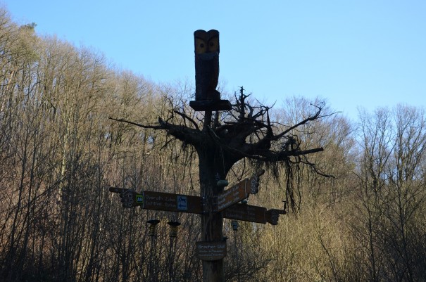 Die Boicher Üül ©entdecker-greise.de