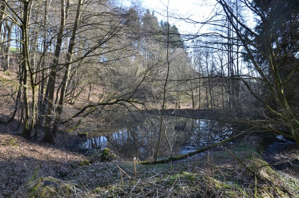 Erste Eindrücke im Naafbachtal ©entdecker-greise.de