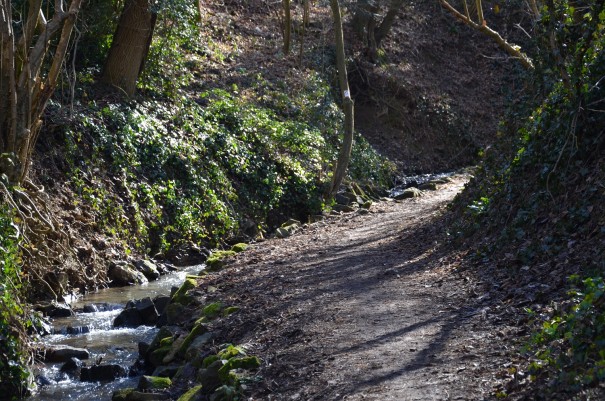 Herrliches kleines Seitental auf dem Ahrsteig ©entdecker-greise.de