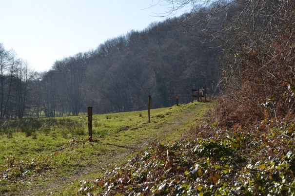 Kleine Rast im Naafbachtal ©entdecker-greise.de