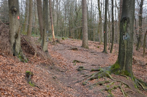 Naturbelassene Pfade auf dem Bensberger Schlossweg ©entdecker-greise.de