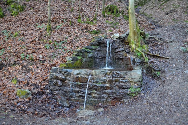 Quelle im Dhünntal ©entdecker-greise.de