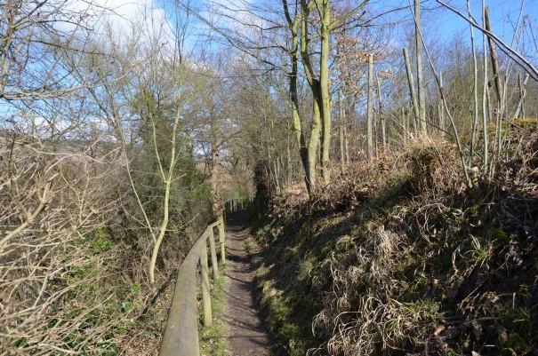 Verschlungene Pfade auf dem Ahrsteig ©entdecker-greise.de