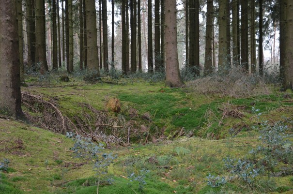 Wanderabenteuer im Bergischen Land ©entdecker-greise.de