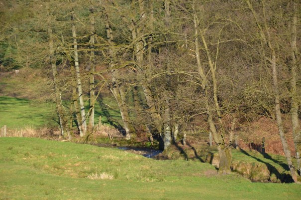 Wanderabschnitt kurz hinter der Fischermühle ©entdecker-greise.de