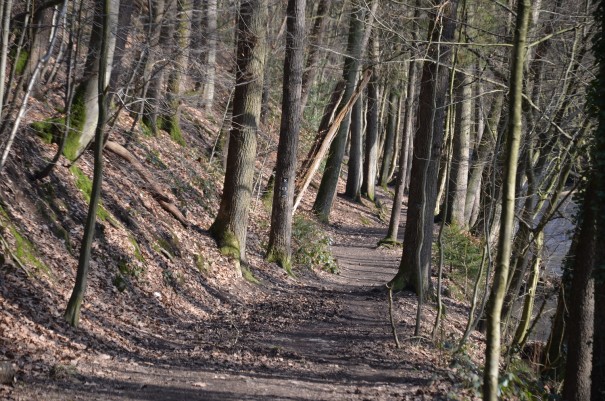 Wandern durch das Eifgenbachtal ©entdecker-greise.de