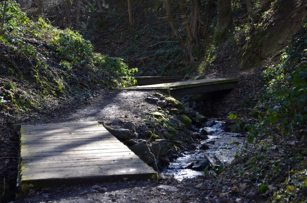 Wegführung des Ahrsteigs über Holzstege ©entdecker-greise.de