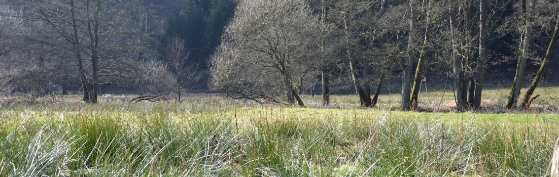 Wir nehmen Abschie vom Naafbachtal ©entdecker-greise.de