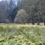 Wir nehmen Abschie vom Naafbachtal ©entdecker-greise.de