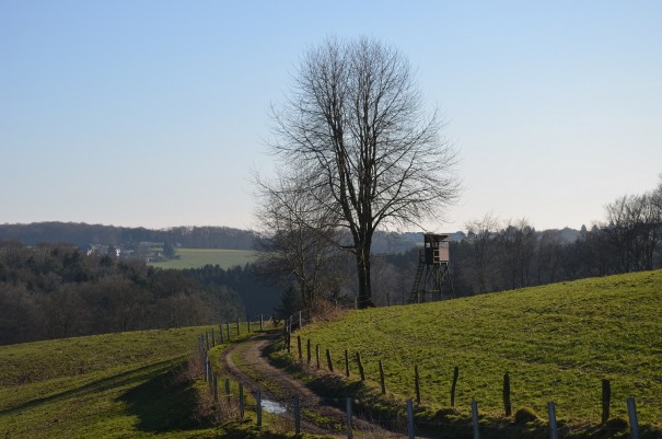 Wunderbar abwechslungsreiche Streckenführung auf dem Bergischen Weg, zwischen Overath und Much ©entdecker-greise.de
