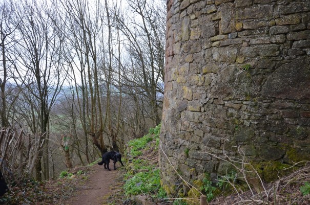 An Burg Frauenstein vorbei geht es weiter Richtung Würzweiler ©entdecker-greis.de