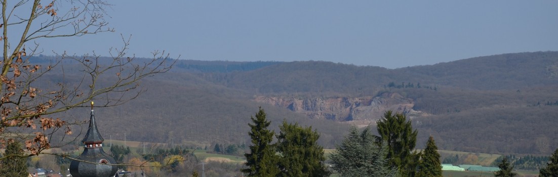 DSC_0003