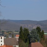 DSC_0003