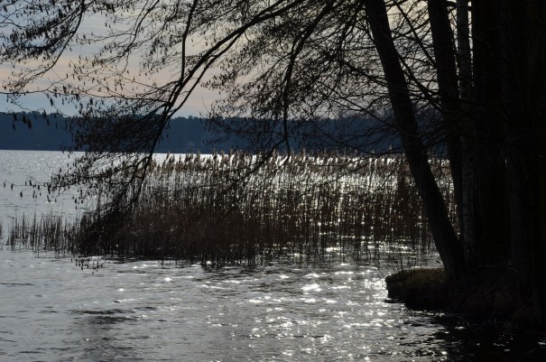 Ruhe, Frieden und Entspannung am Scharmützelsee ©entdecker-greise.de