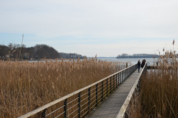 Und hier kann ich sogar übers Wasser gehen ... ©entdecker-greise.de