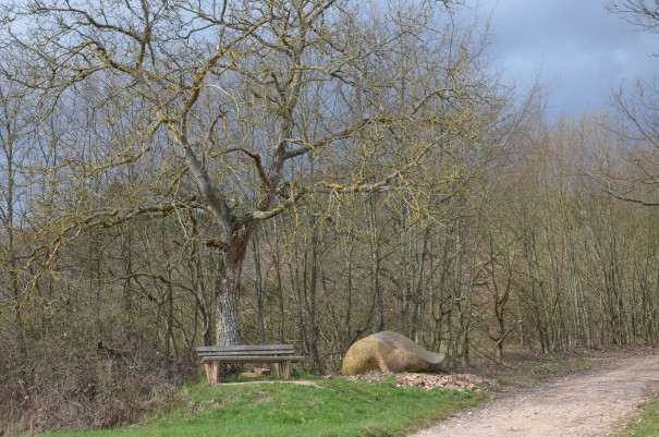 Und immer wieder wunderschöne Rastplätze auf dem Pfälzer Höhenweg ©entdecker-greise.de