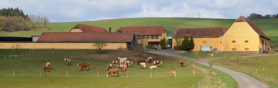Wunderschöner Hof im Falkensteiner Tal ©entdecker-greise.de