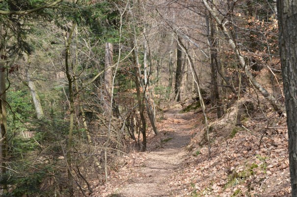 Wundervoll abwechslungsreiche Streckenführung hier auf dem Pfälzer Höhenweg ©entdecker-greise.de