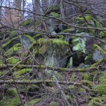 ... doch aus das hat etwas ganz besonderes, vorausgesetzt, man trägt die richtige Kleidung ©entdecker-greise.de