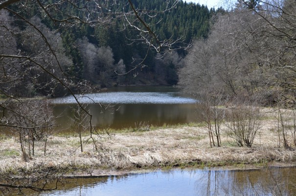 Abwechslungsreicher könnte eine Wanderroute wohl kaum sein ... ©entdecker-greise.de