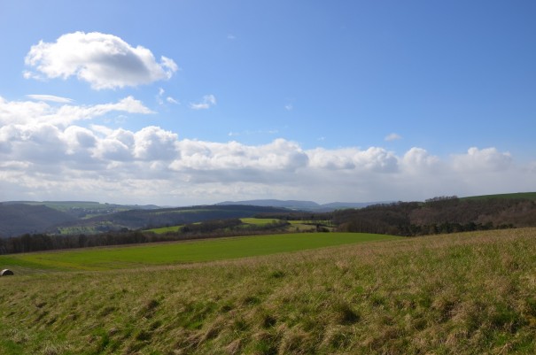 Alleine wandern und die Gedanken vorbei ziehen lassen ... ©entdecker-greise.de