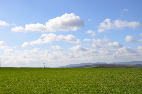 Bei herrlichem Sonnenschein wandere ich die sechste Etappe des Pfälzer Höhenweges ©entdecker-greise.de