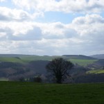 DSC_0044