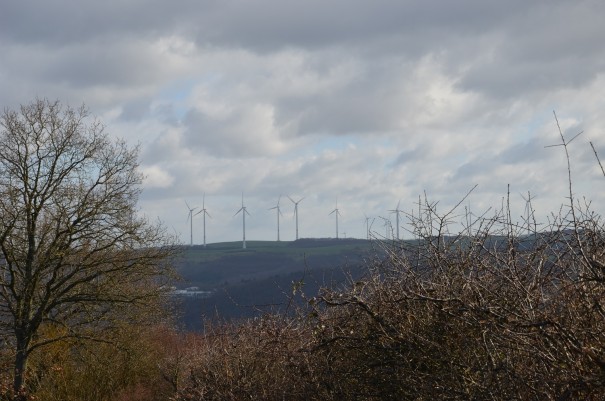 Das Bild wechselt ständig auf dem Pfälzer Höhenweg  ©entdecker-greise.de