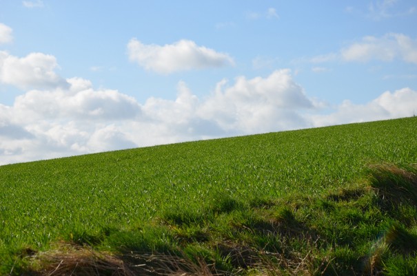 Dem Himmel so nah ... ©entdecker-greise.de