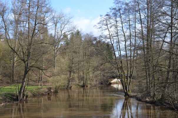 Die Glan bei Meisenheim ©entdecker-greise.de