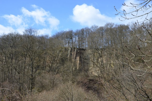 Die Landschaft hält stets eine Überraschung bereit auf dem Pfälzer Höhenweg  ©entdecker-greise.de