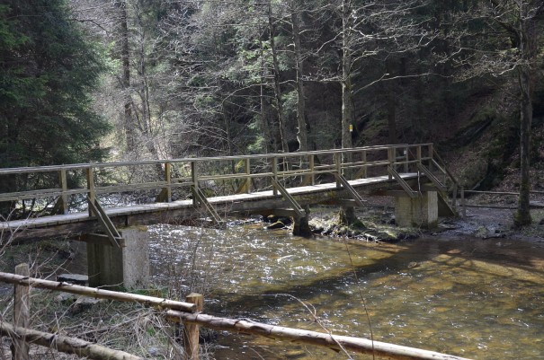 Hier trifft die Klosterroute auf die Narzissenroute. ©entdecker-greise.de