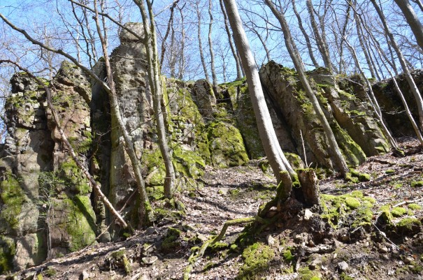 Langweilig wird es  ganz sicher nicht, auf dem Pfälzer Höhenweg ©entdecker-greise.de