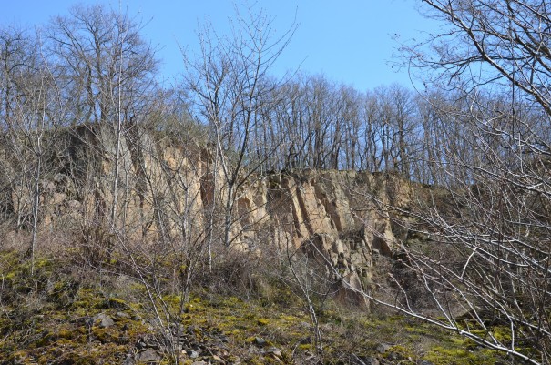 Wandern in der Pfalz ... ©entdecker-greise.de