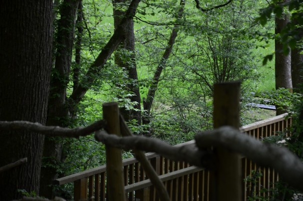 Von Anfang bis zum Ende hält der Westerwald Steig seinen Spannungsbogen beim #TTwandern ©entdecker-greise.de