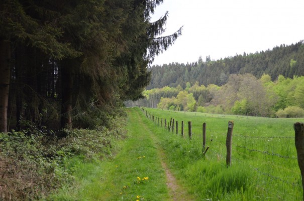 Genussvolle Momente beim #TTwandern auf dem Westerwald Steig ©entdecker-greise.de