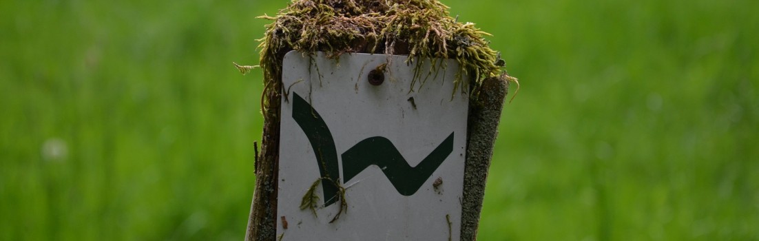 29 Ein treuer Begleiter, der mich auf dem Westerwald Steig nie im Stich lässt #TTwandern ©entdecker-greise.de